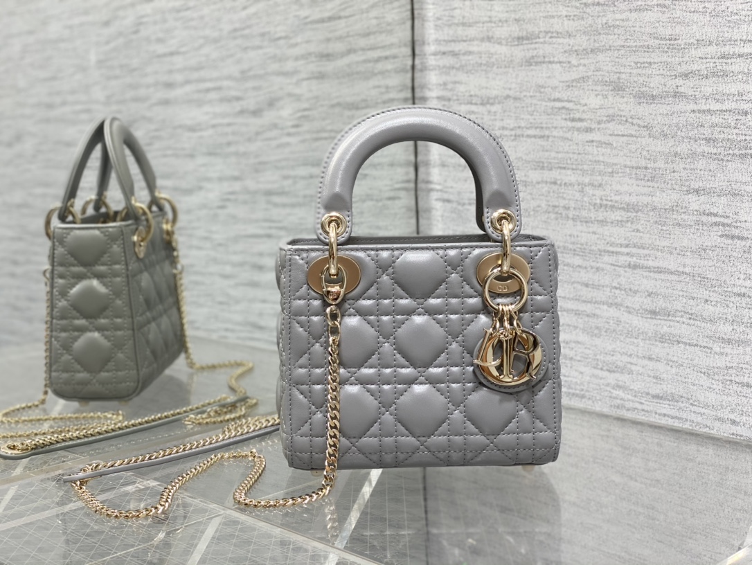 Bagsaaa D10r Lady Mini Grey Bag 17cm